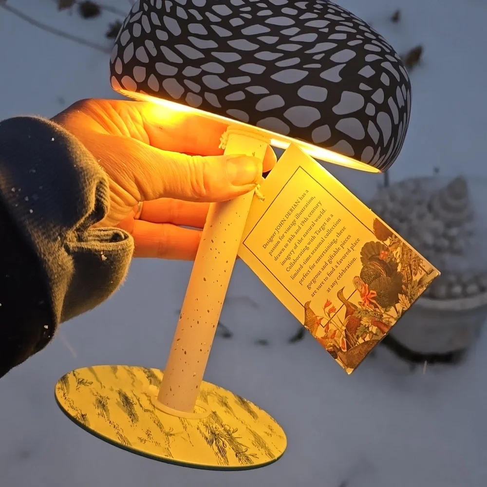 Mushroom Lamp John Derian Brown White Gnomecore Cordless Rechargable NWT - Picture 4 of 9